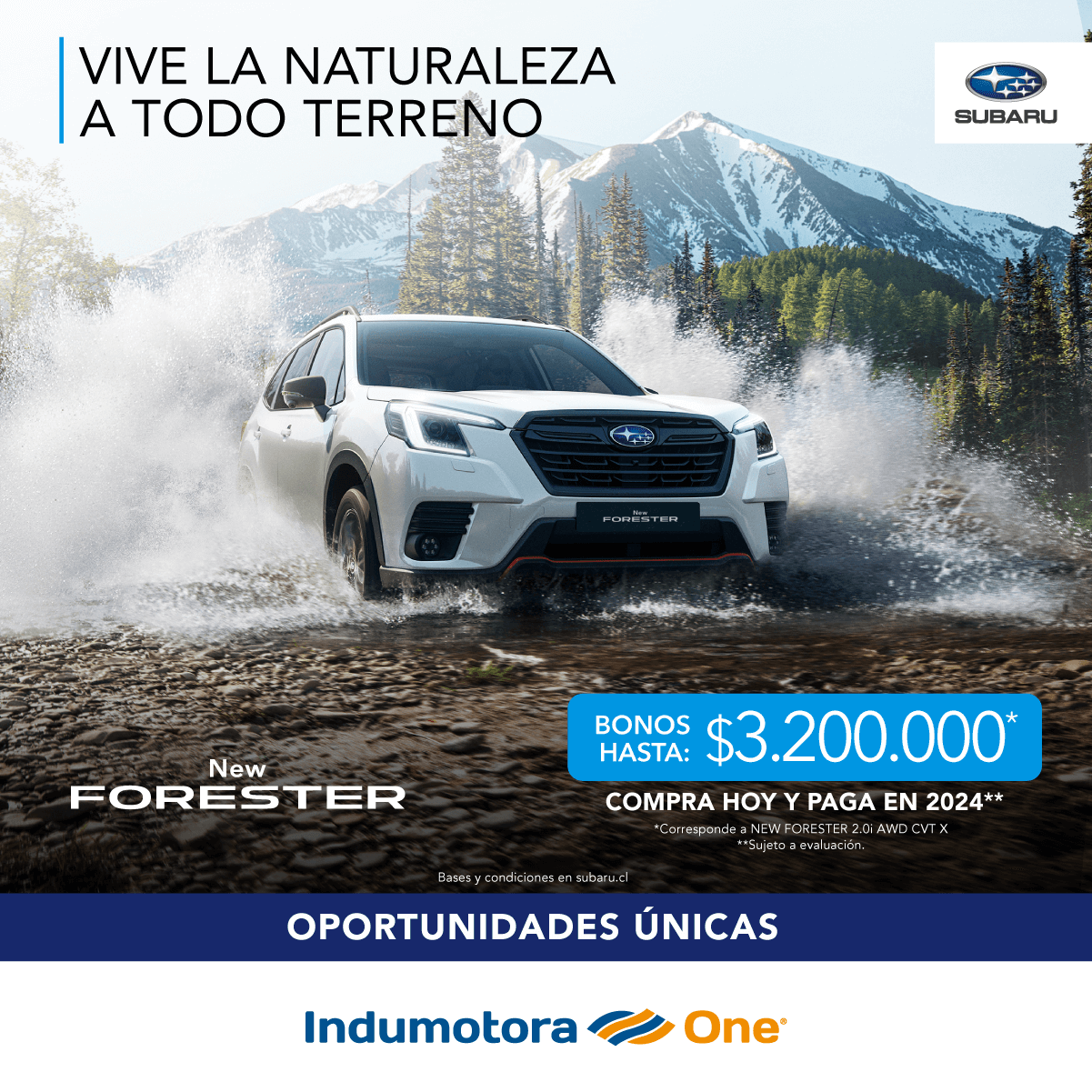 FORESTER